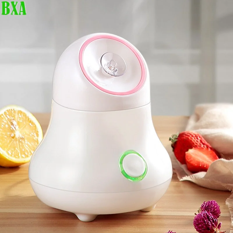 Parowiec do twarzy z owocami i – Facial Steamer Nano recenzja i cena